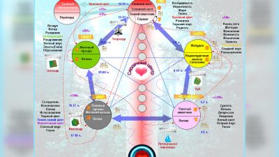 Пять элементов показывают, как эмоции охватывают тело.