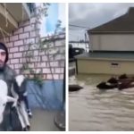 Мужчины Дагестана спасают от потопа домашний скот (видео)  