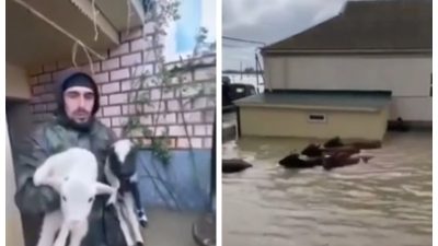 В Дагестане мужчины эвакуируют домашний скот из затопленных хозяйственных построек
