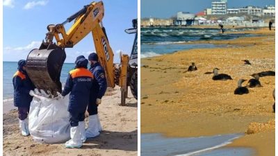 Очистка пляжей Анапы и птиц от мазута