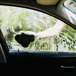 За мытьё машины на даче можно получить двойное наказание