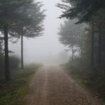 Не стоит судить людей: мы не знаем, что происходит в их жизни