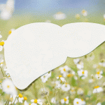 Признаки нарушения баланса печени и естественное весеннее обновление