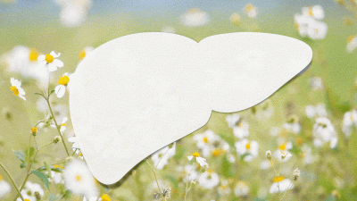 Признаки нарушения баланса печени и естественное весеннее обновление