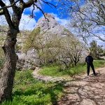 Маршрутами Крыма: Храм Солнца, или крымский Стоунхендж