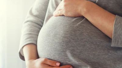 Девять месяцев беременности