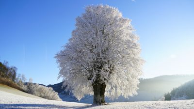снег на Дальнем Востоке за 2 дня до лета