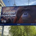 Прокуратура и Роскомнадзор проверят скандальный баннер с орангутаном в Новосибирске