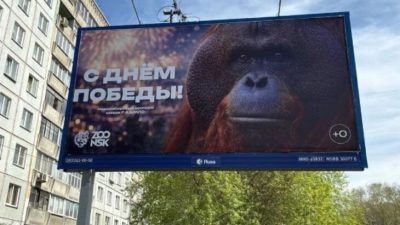 Фотография рекламного щита с изображением орангутана и надписью «С Днем Победы!»
