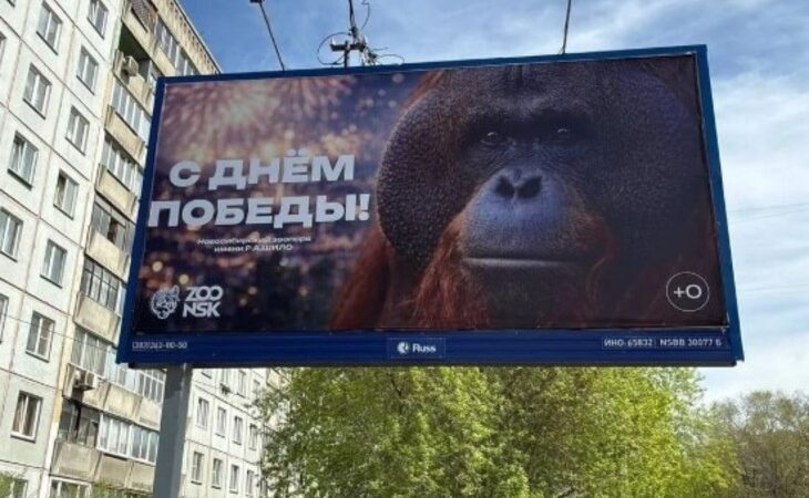Фотография рекламного щита с изображением орангутана и надписью «С Днем Победы!»