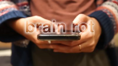 «Разложение мозга»: как самый вирусный контент в интернете может влиять на ваш разум