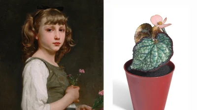 На аукционе «Драгоценная история: коллекция семьи Стрим» в Christie’s New York были представлены композиция с изображением бегонии Фаберже (справа) и картина Бугро «Гвоздика» (слева).