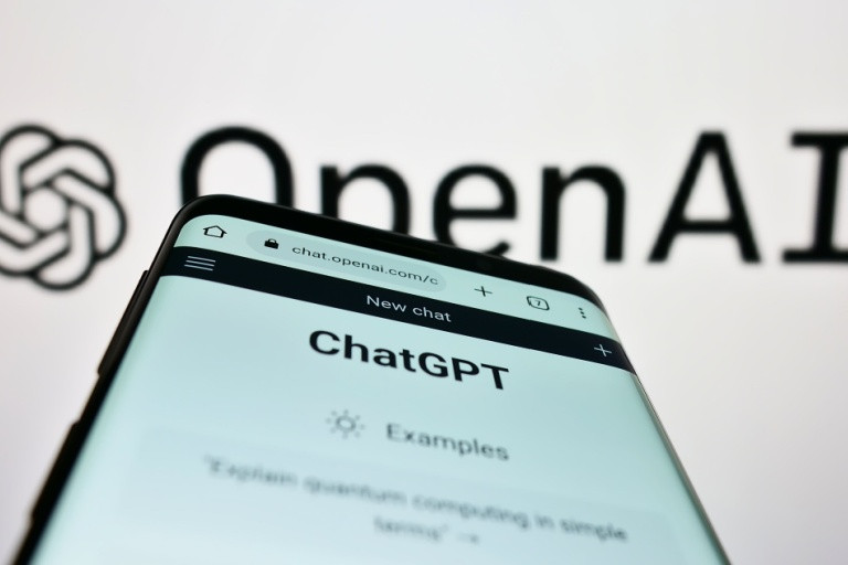 Иск начинается со скриншота страницы родительского контроля самой компании OpenAI.