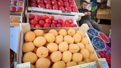 Ящики с абрикосами и томатами на рынке