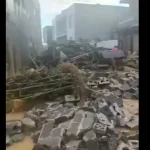 После наводнения на юге Китая люди питались дождевой водой и листьями деревьев
