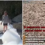Тонны погибшей рыбы и едкий запах: в Подмосковье борются с последствиями атаки БПЛА