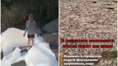 река Гнилуша
