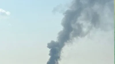 пожар под Воронежем