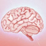 Ваш мозг является причиной вашей боли?