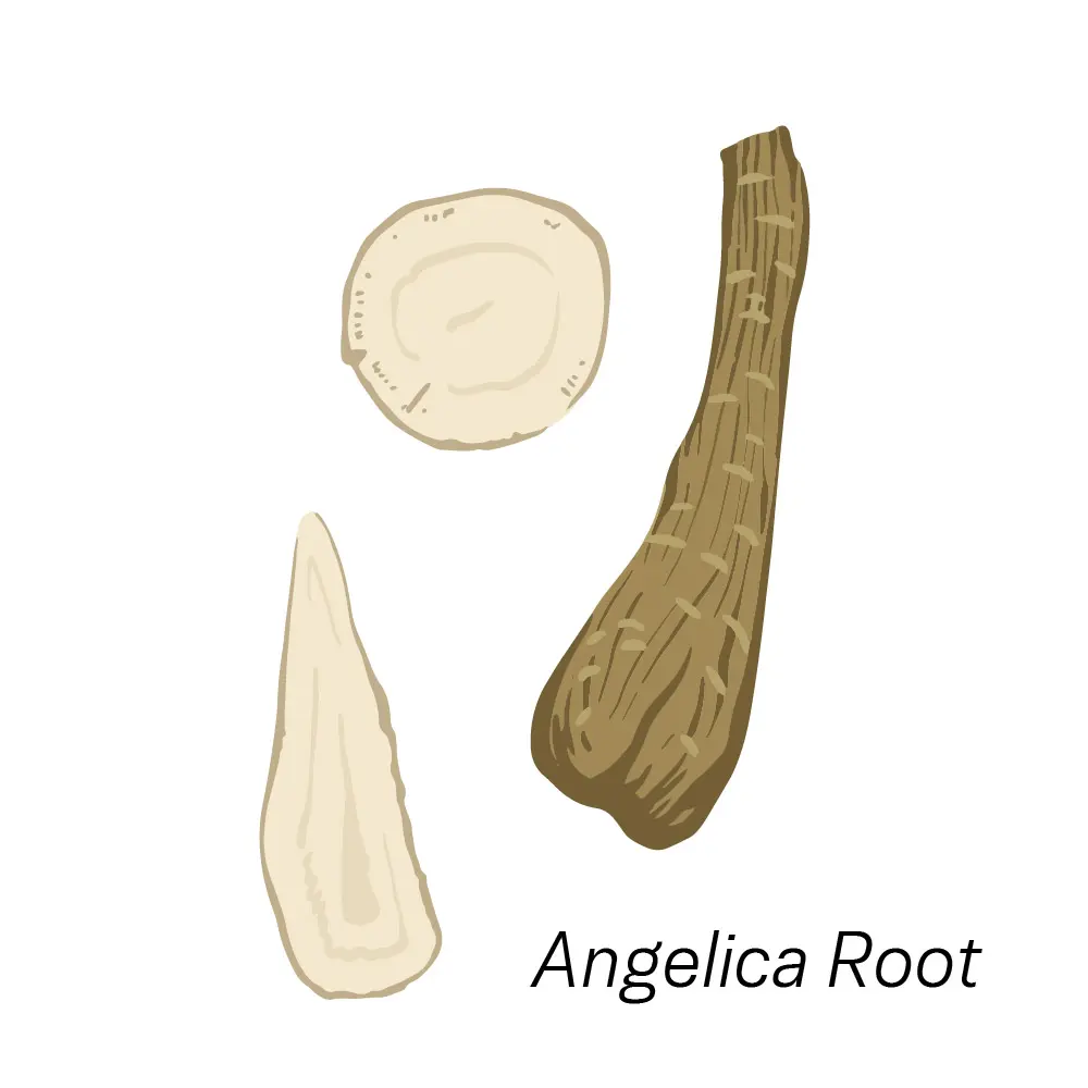 Корень дудника (Angelica Root) для снятия припухлости