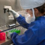 Все вакцины линейки «Мультикан» сняли с производства из-за массовой гибели собак