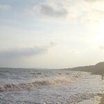 Опасны ли черноморские акулы — катраны?