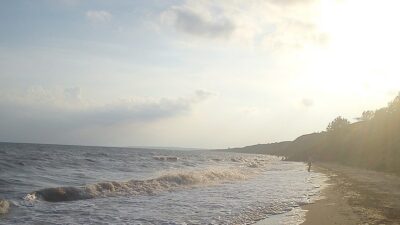 В Азовском море катраны появились из-за повышения уровня солёности, достигшего 16 промилле.