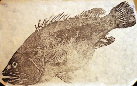 Гётаку — уникальная японская традиция: рыба становится произведением искусства (видео)