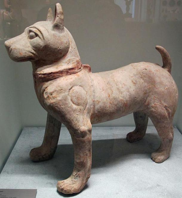 Собаки в Древнем Китае: человек не всегда друг