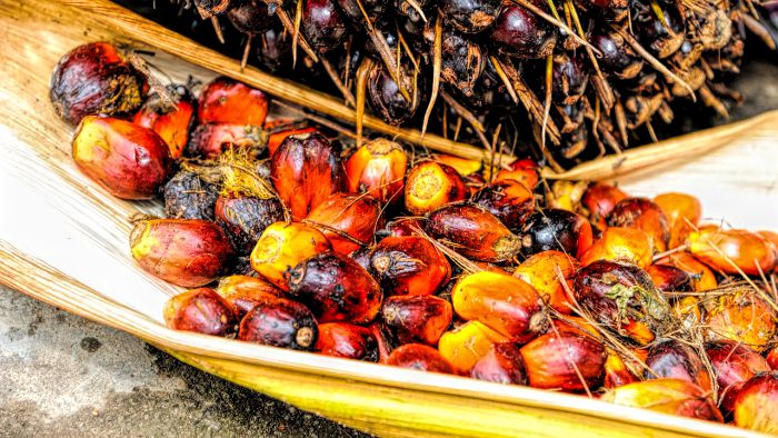 Есть ли смысл бояться пальмового масла?