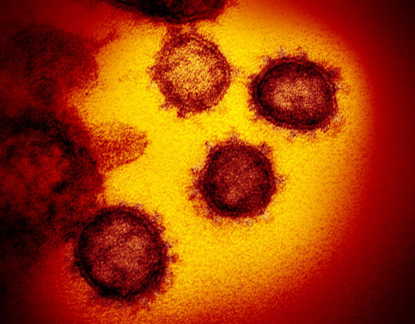Первая смерть от коронавируса COVID-19 в Европе, первый заражённый в Африке и помощь от «Врачей без границ»