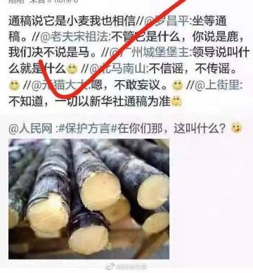 Китайское СМИ спросило читателей, как на местных диалектах называется сахарный тростник. И получило неожиданные ответы