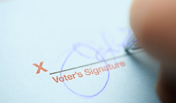 Эксперимент удался: избирательная комиссия приняла конверты с поддельными подписями