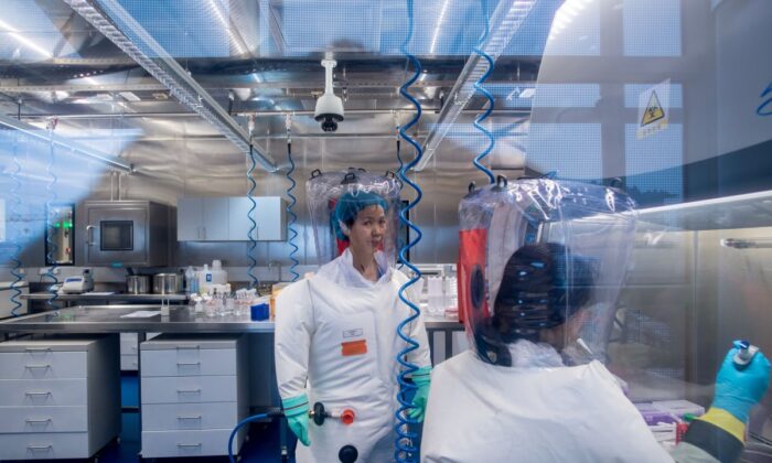 Уханьская лаборатория готовилась изучать самые опасные вирусы в мире, сообщали китайские СМИ