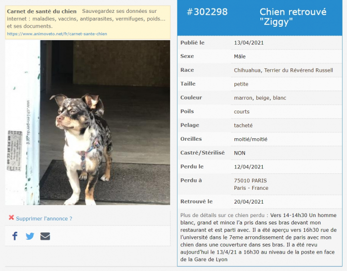 Пропавшую в Париже собаку нашли в 900 километрах от дома
