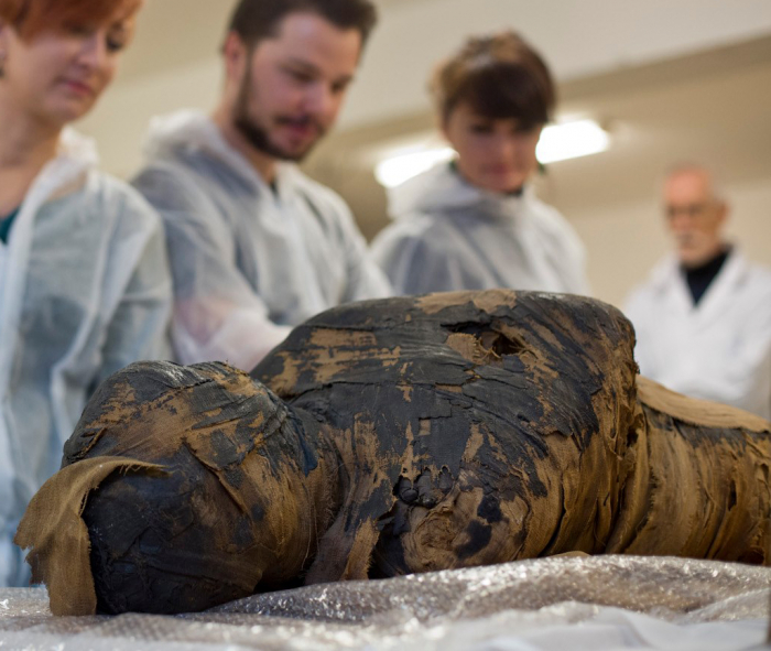 Древнеегипетская мумия жреца оказалась мумией беременной женщины