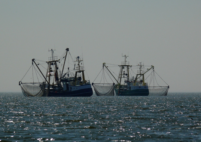 Сообщения о китайских рыболовных судах в водах Аргентины вызывают тревогу