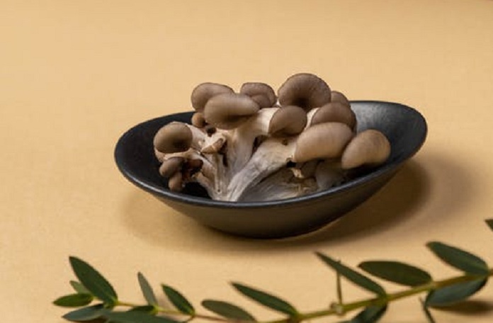 Ешьте эти грибы, чтобы жить дольше