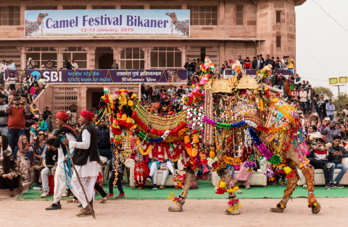 Верблюжий фестиваль в Индии