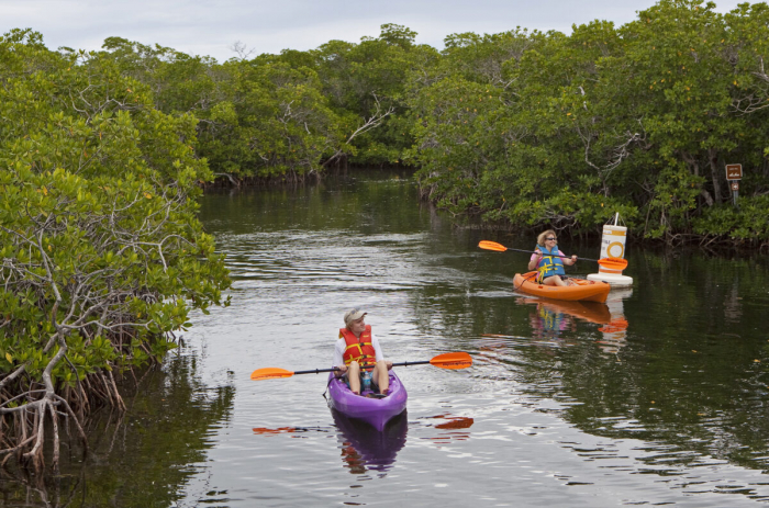 Отдых во Флориде: развлечения на воде и в воде