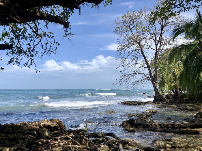 Дебри и просёлочные дороги: Коста-Рика в глубинке