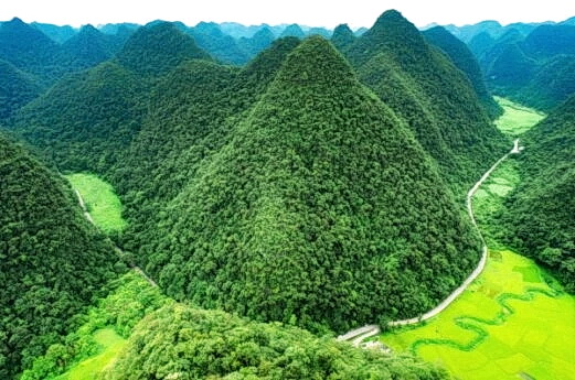 10 самых красивых лесов Китая