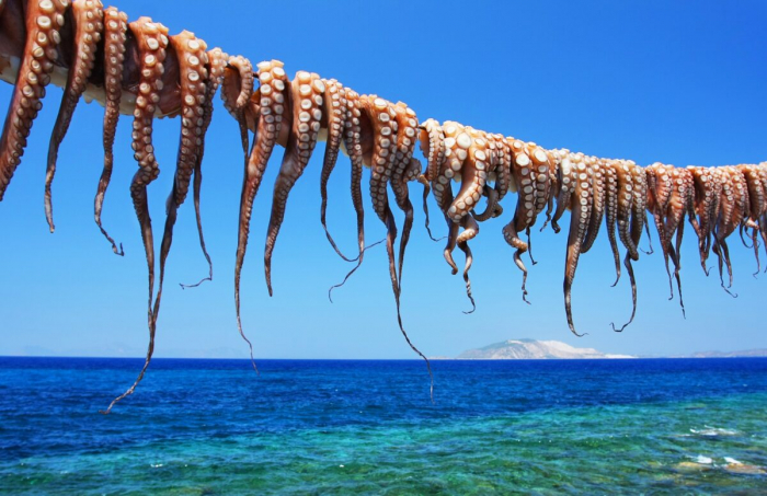 Шеф-повар из Греции: лучший способ приготовить осьминога