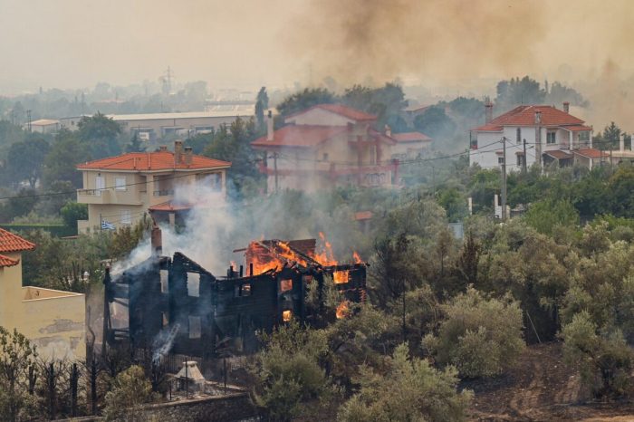 Сильный лесной пожар в Греции продолжается уже седьмой день